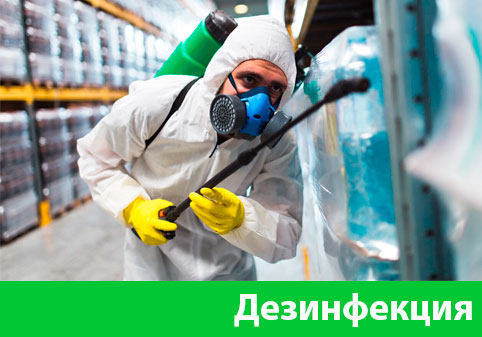 Дезинфекция в городе Йошкар-Ола