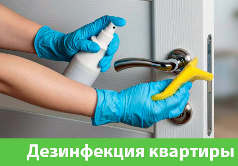 Дезинфекция квартиры в городе Йошкар-Ола