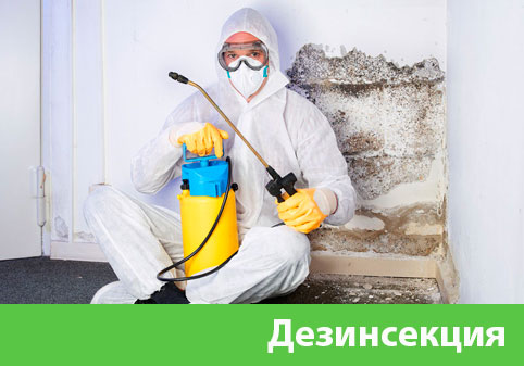 Дезинсекция в городе Йошкар-Ола