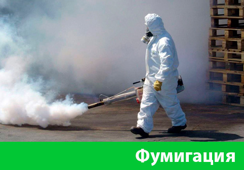 Фумигация в городе Йошкар-Ола