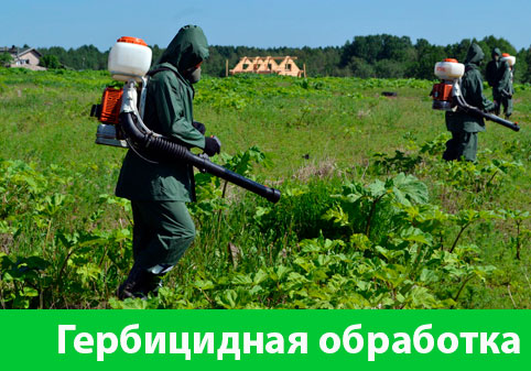 Гербицидная обработка в городе Йошкар-Ола