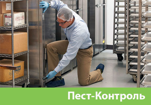 Пэст-Контроль в городе Йошкар-Ола