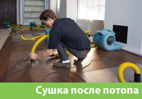 Сушка после потопа в городе Йошкар-Ола