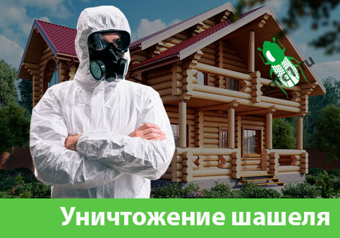 Уничтожение шашеля и личинок в Йошкар-Оле