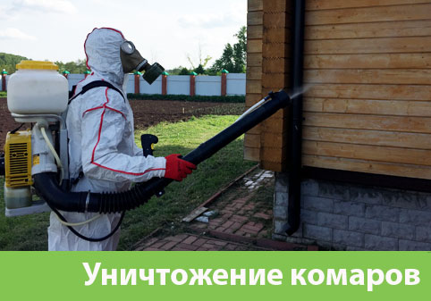 Уничтожение комаров в городе Йошкар-Ола